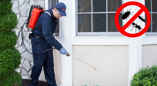 Kemaliye Fare İlaçlama böcek ilaçlama ve haşere kontrolü — ilaclama-tr.com